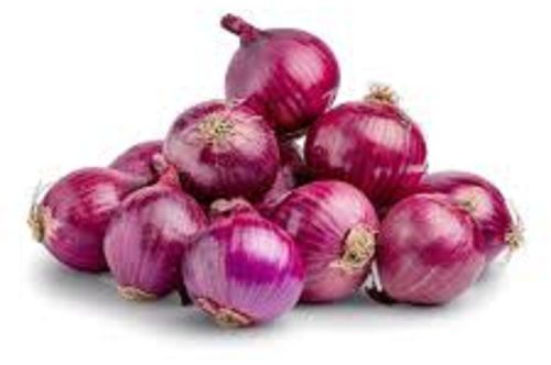 Fresh Red Onion, Packaging Size : 5-25kg, Form : Whole