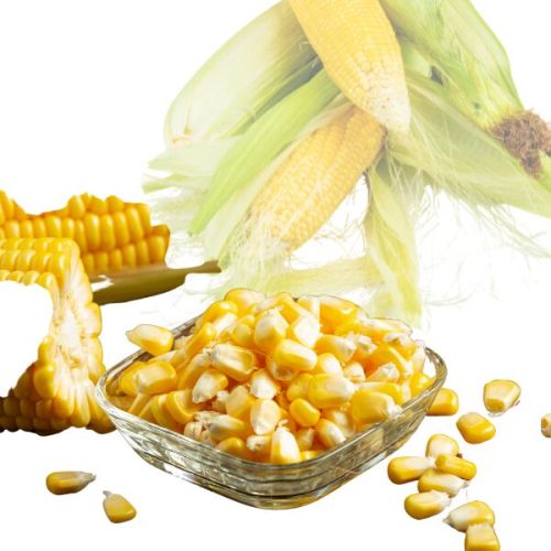Maize, Shape : Round, Packaging Size : 1Kg, 5Kg, 10kg