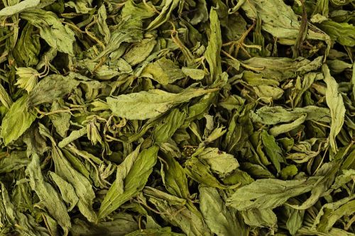 Stevia Leaves, Color : Green for Sweetening Beverages, Desserts