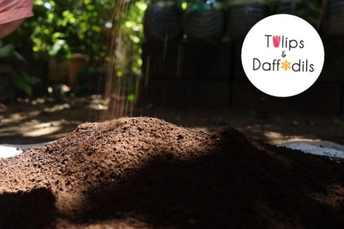 Tulipsanddaffodils Neem Powered Soil Enhancer, Form : Powder