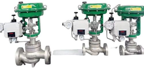 Single-Seat Globe Control Valve, 3/4-3 In, 150-600 LB, RF
