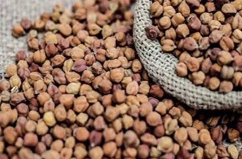 Black chickpeas, Drying Process : Sun Dried