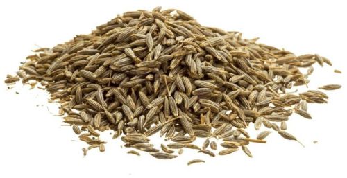 Cumin Seeds, Packaging Type : Sealed Bag for Cooking, Seasoning