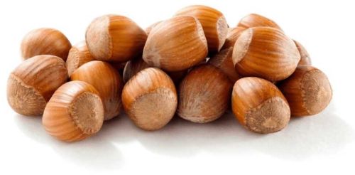 Hazelnuts, Packaging Type : Sealed Bag for Snacking, Baking, Cooking