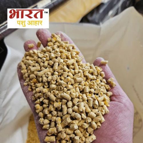 Maize Pellets, Color : Yellow
