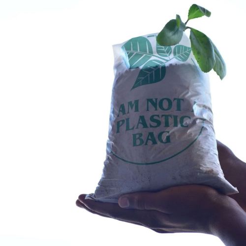 Natural Fibers Compostable Nursery Bags for Growing Seeds, Vegetables