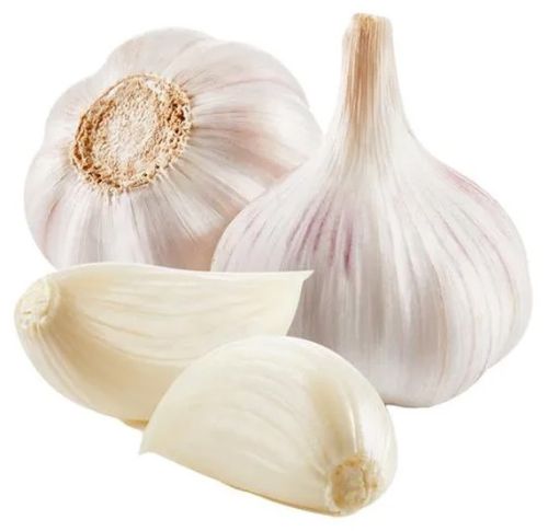 Fresh Garlic for Cooking Ingredient