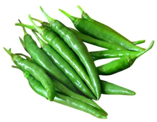 Fresh Green Chilli for Cooking, Seasoning, Garnishing