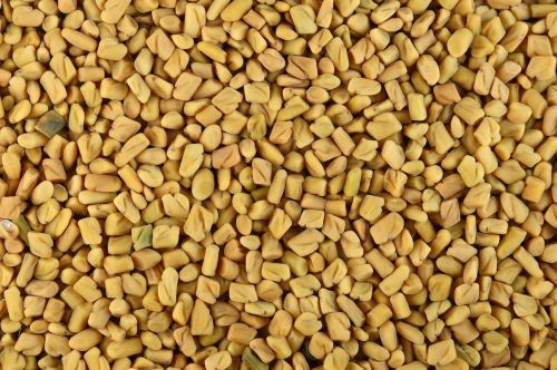 Fenugreek Seed, Color : Brown, Packaging Type : Plastic Bag