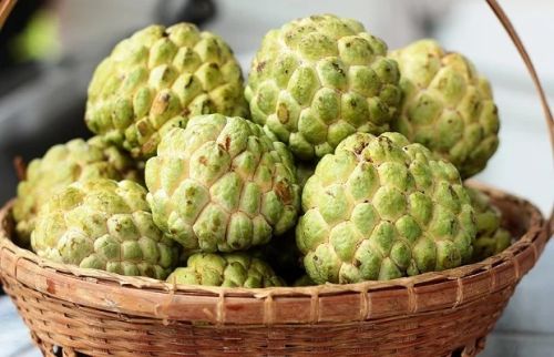 Fresh Custard Apple for Used In Smoothies, Desserts, Or Salads