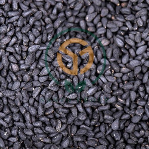 Common Raw Black Cumin Seed 6% Approx., Form : Whole