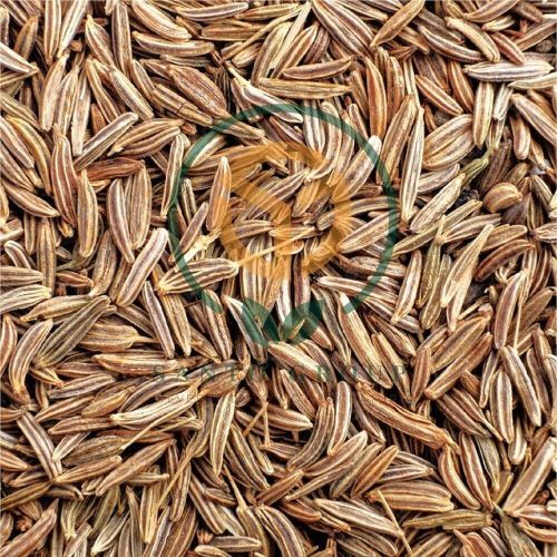 ​​jeera Or Cumin Seeds