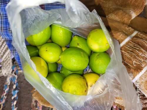 Organic A Grade fresh lemon, Packaging Type : Light Green