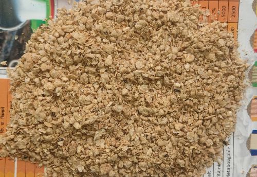 Soya Bean Meal