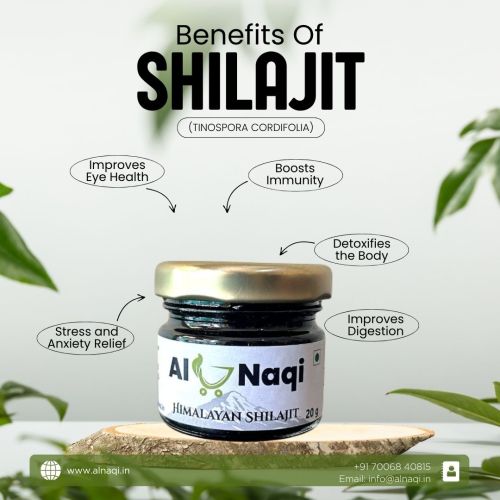 Himalayan Shilajit, Color : Black, Purity : 100%