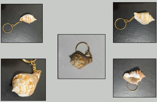 Brown Sea Shell Key Chain