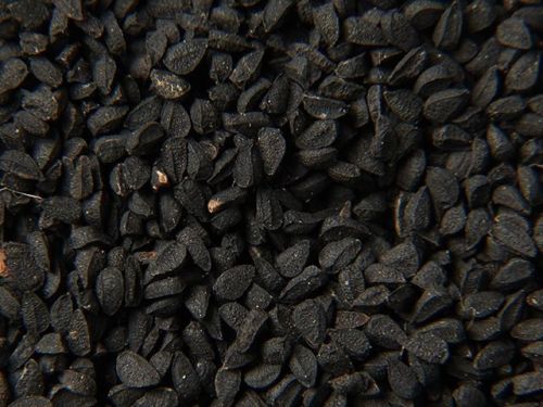 Organic Black Cumin