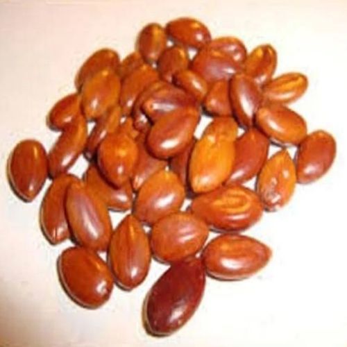 Organic Amaltas Seeds, Color : Brown Raw