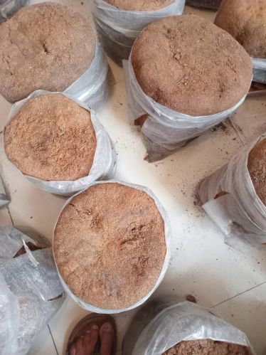 Organic Ganoderma Lucidum Mushroom, Packaging Type : Plastic Bag