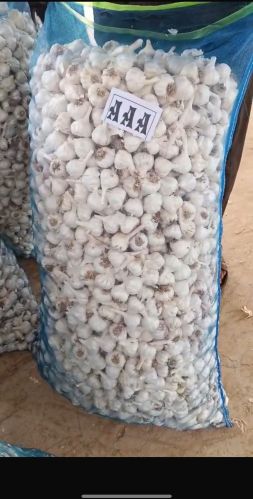 Nutan Traders Desi a Grade Fresh Garlic, Packaging Size : 50 Kg