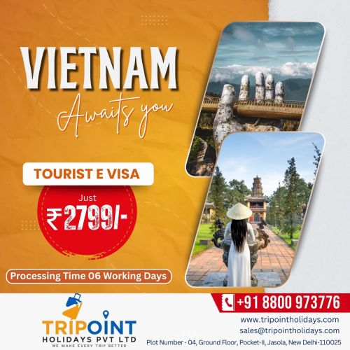 Best Vietnam Visa Service