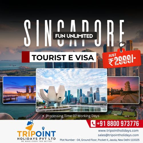 Singapore Tourist E Visa Service