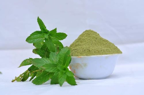 Natural Mint Leaf Powder, Color : Green Dried