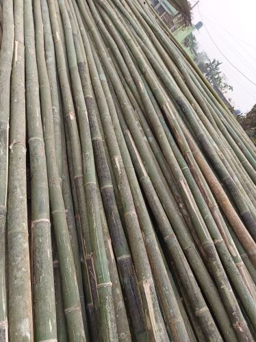 Non Finished Bamboo FROM 5FT-40FT
