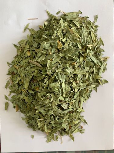 Natural Senna Leaves