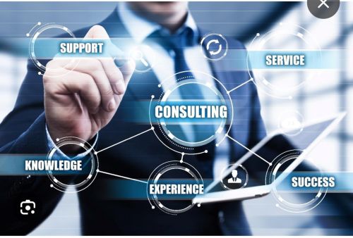 Business Consulting Services