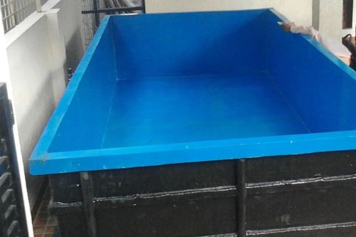 Customized Fabricated Pool for Swimming