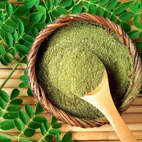 Moringa Leaves Powder, Color : Green, Weight : 100 Grams