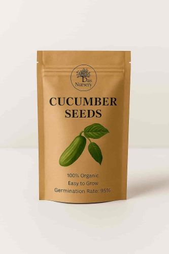 Cucumber Seeds for Garden, Raised Beds