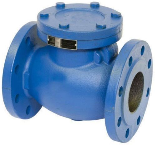 Cast Iron Check Valve, Color : Blue
