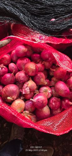 Red onion, Packaging Size : 5Kg Gunny Bag for Cooking, Restaurant