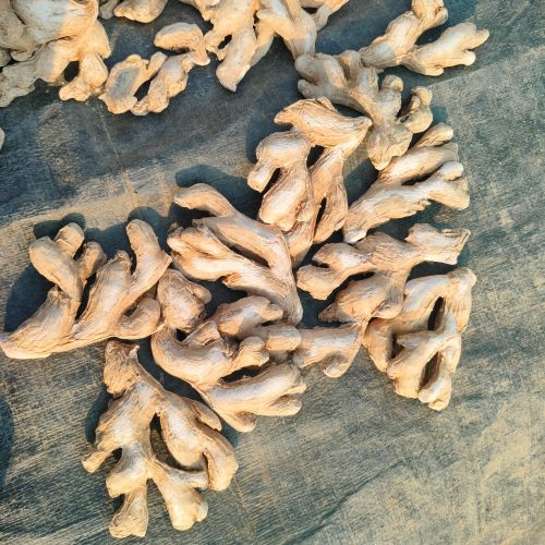 Organic Sulphur Dry Ginger, Color : Brown, Packaging Size : 25-50kg