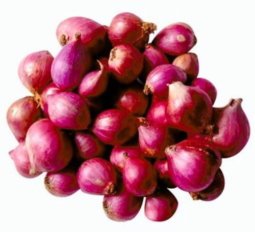 Onion, Packaging Size : 25Kg Loose