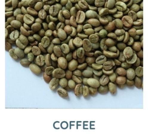 Coffee Beans, Color : Green, Light Brown