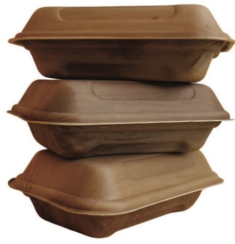 Non Polished Areca Grab and Go Boxes, Packaging Type : Brown