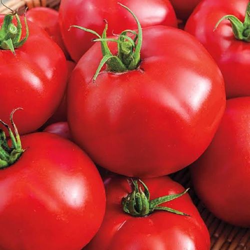 Fresh Tomato, Storage Tips : Refrigerate for Cooking, Salads