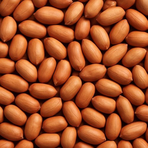 Groundnut Seed, Purity : 100% for Cooking, Oil