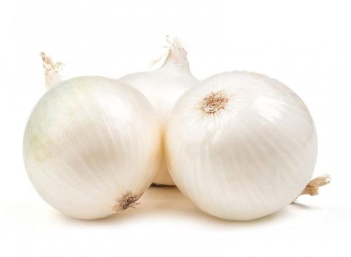 White Onions, Packaging Type : Sold In Mesh Bags Or Cartons