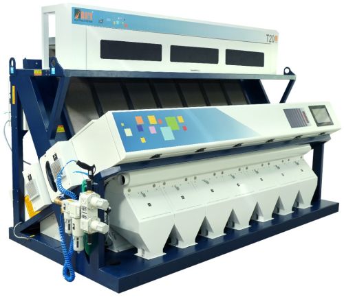 T20 Square Color Sorter Machine - 7 Chute