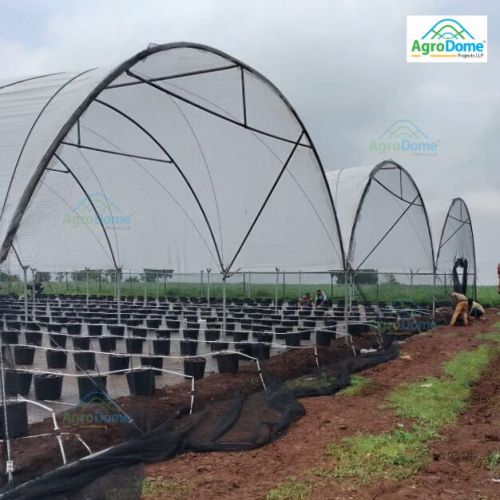 Polyethylene Plastic High Tunnel Polyhouse, Color : White