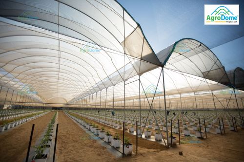 Polyethylene Multi Tunnel Polyhouse, Color : Transparent