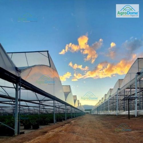 Polyethylene Poly House for Flower Farming