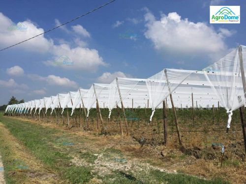 Shade Net House for Grapes Orchard Structure