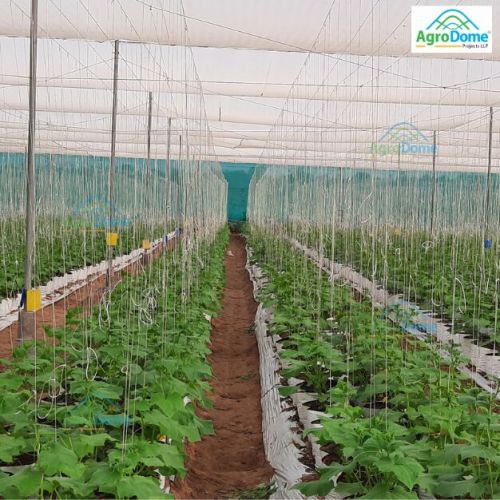 Plain Wire Rope Net House, Packaging Type : White