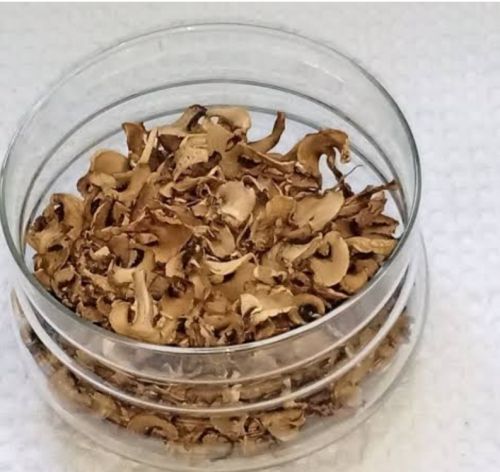 Verdrova Organic Dried Mushroom, Color : Light Brown