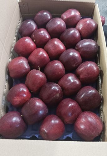 Natural Himachal Apple, Color : Red, Packaging Size : 20Kg